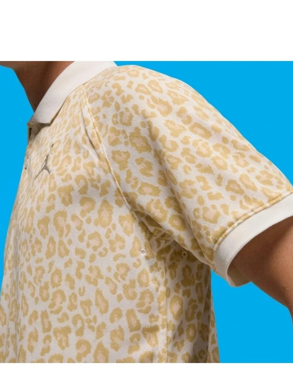 Jordan Dri-FIT Sport Golf Polo Shirt Standard Fit